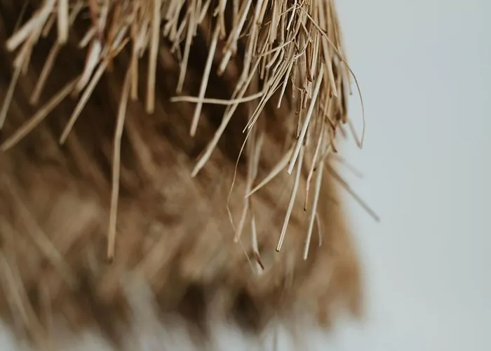 Zen Villas * Akrotiri (Santorini)